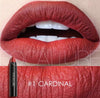 FOCALLURE Matte Lip Crayon