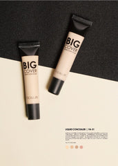 FOCALLURE Big Cover Concealer